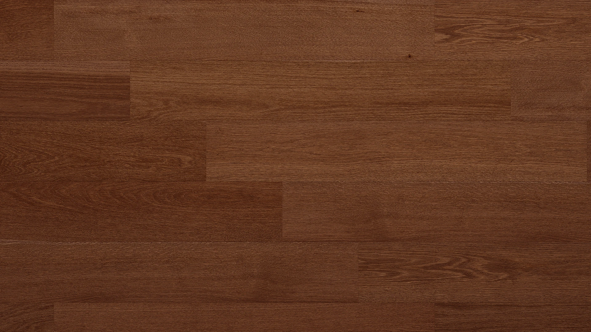 Dąb Revona Origin view 4