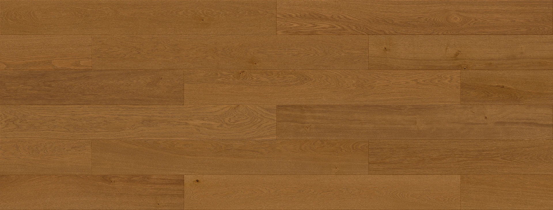 Dąb Vitaria Origin view 4