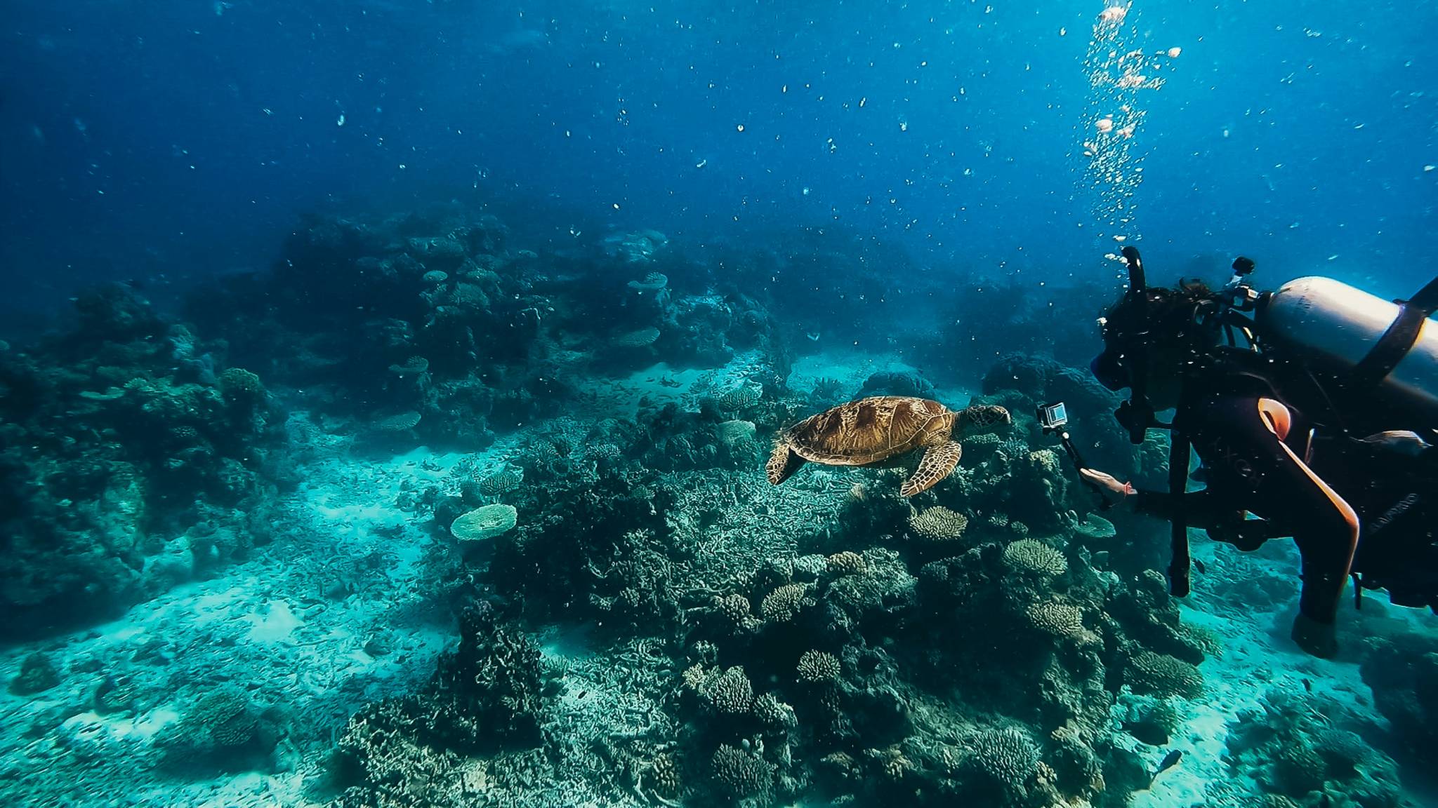 Ultimate Cairns Travel Guide: 15 Things to Do in Cairns