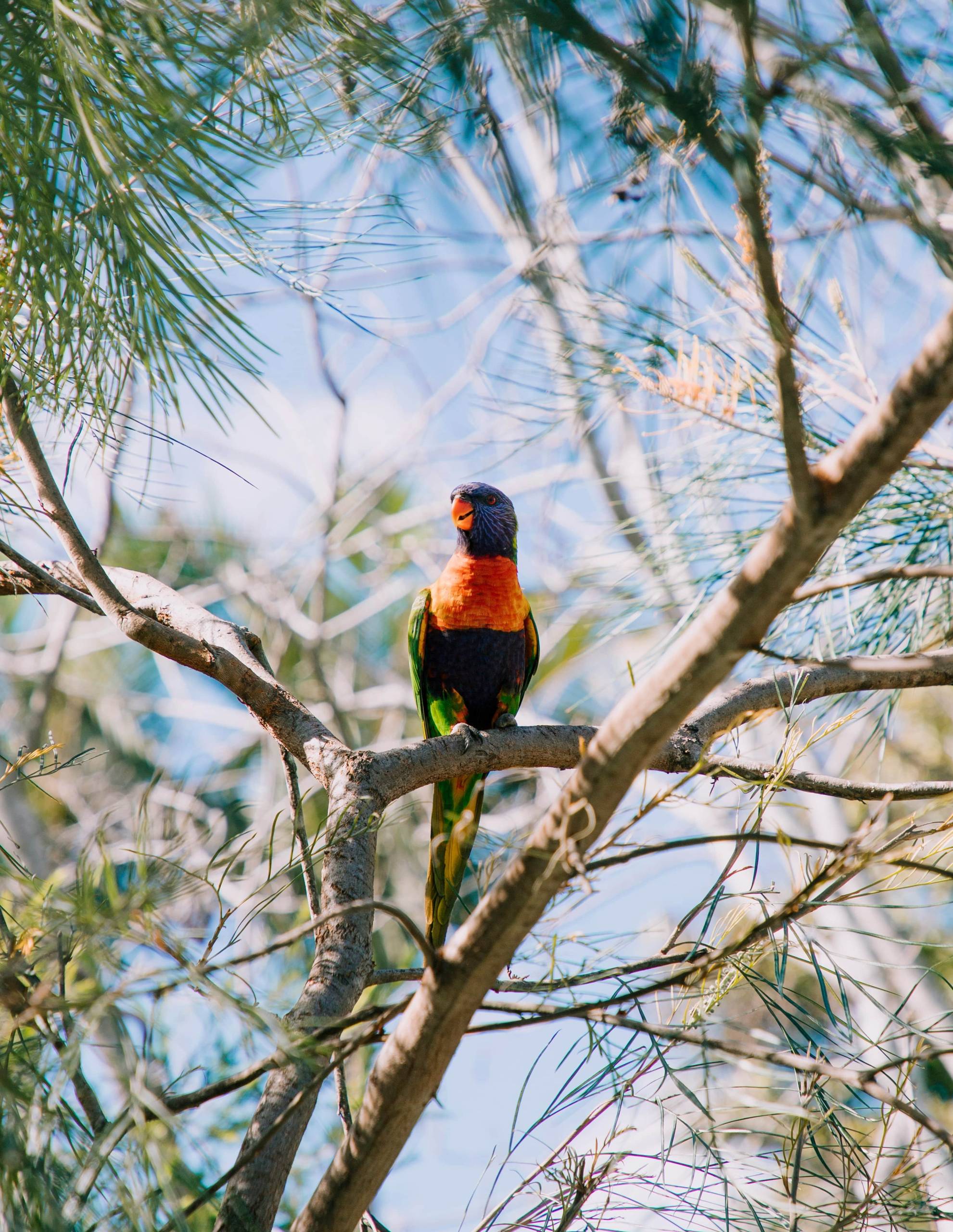 Queensland is home to incredible wildlife