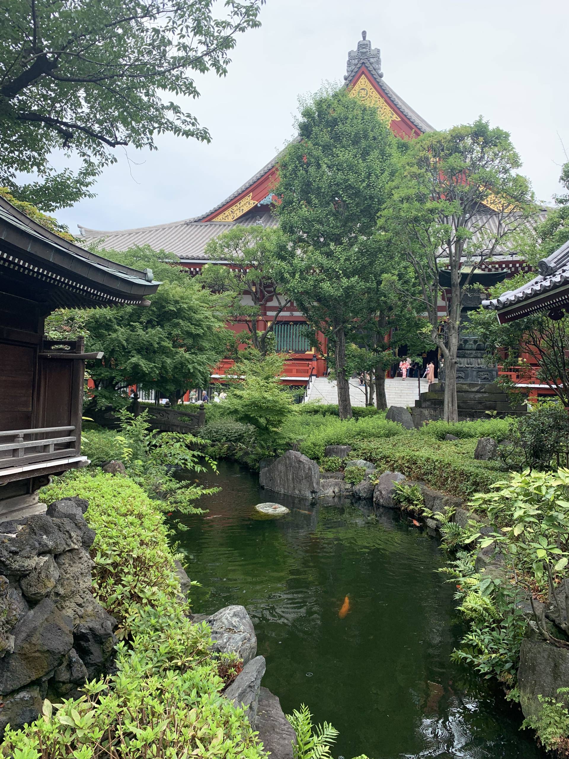 Japanese gardens shrine at kyoto with trees. Inside the shrines there is no photography.