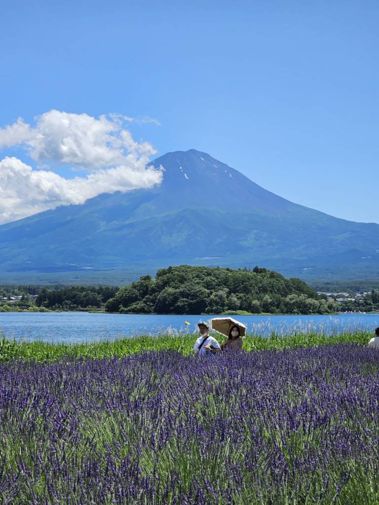 Mount Fuji.