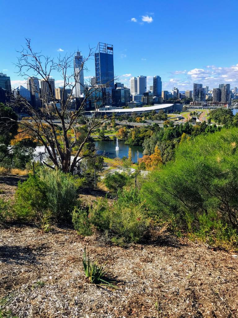 A photo overlooking Perth city from Kings Park.
