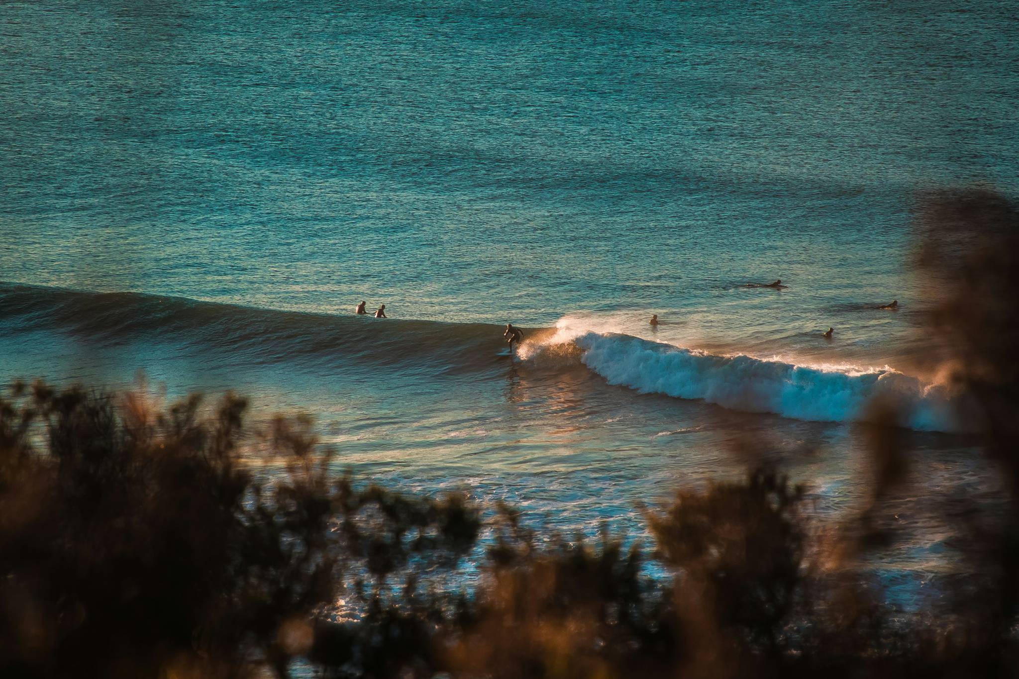 Surfing at bells beach melbourne