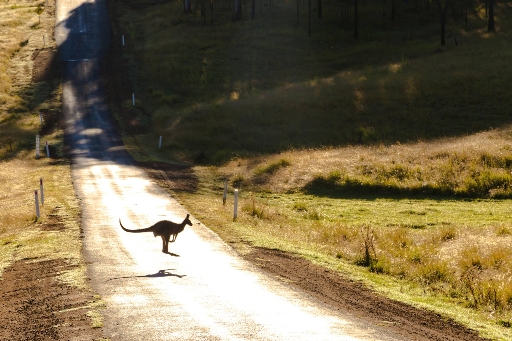 Prepare a budget for travelling around Australia before you arrive