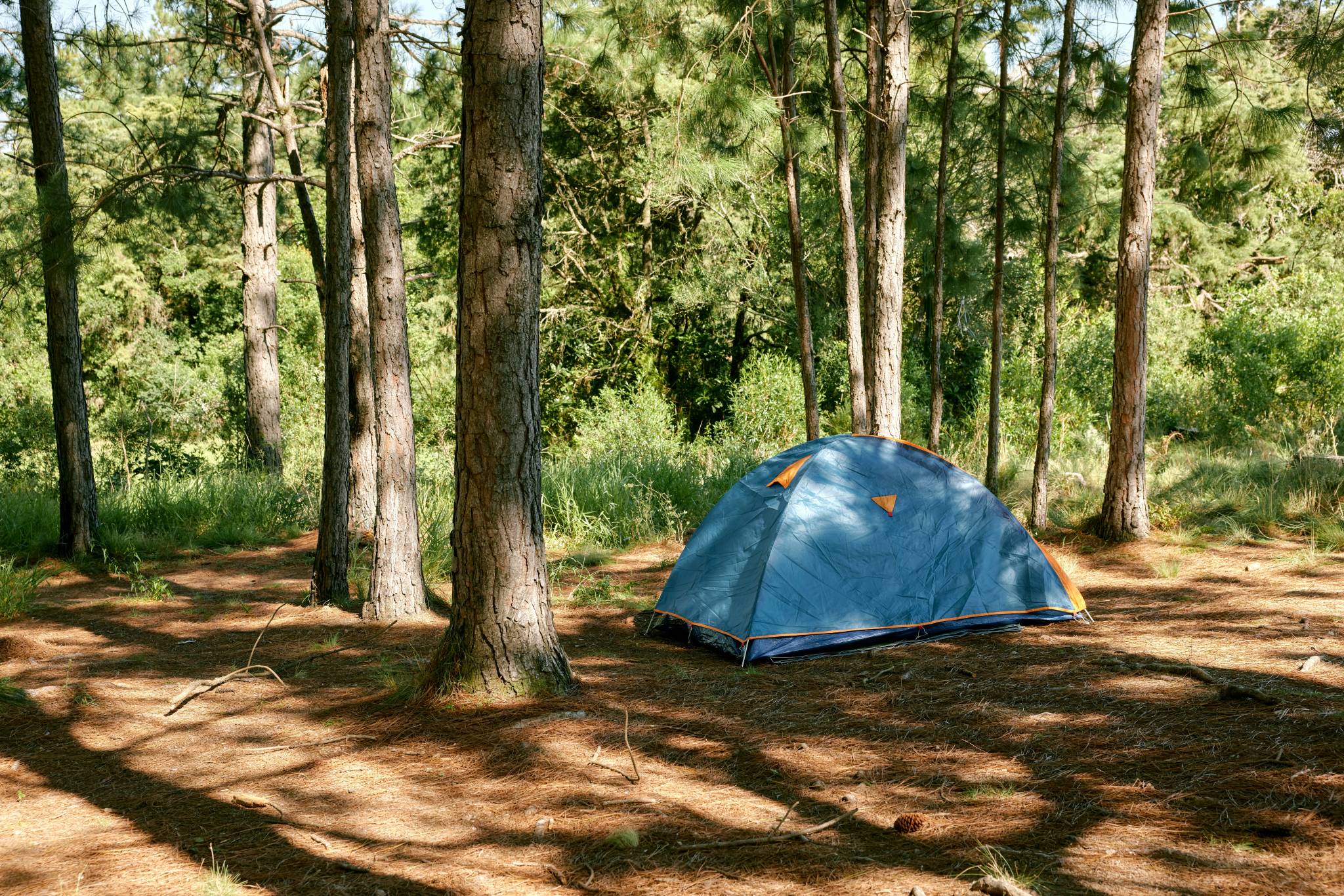 Camping in the bush