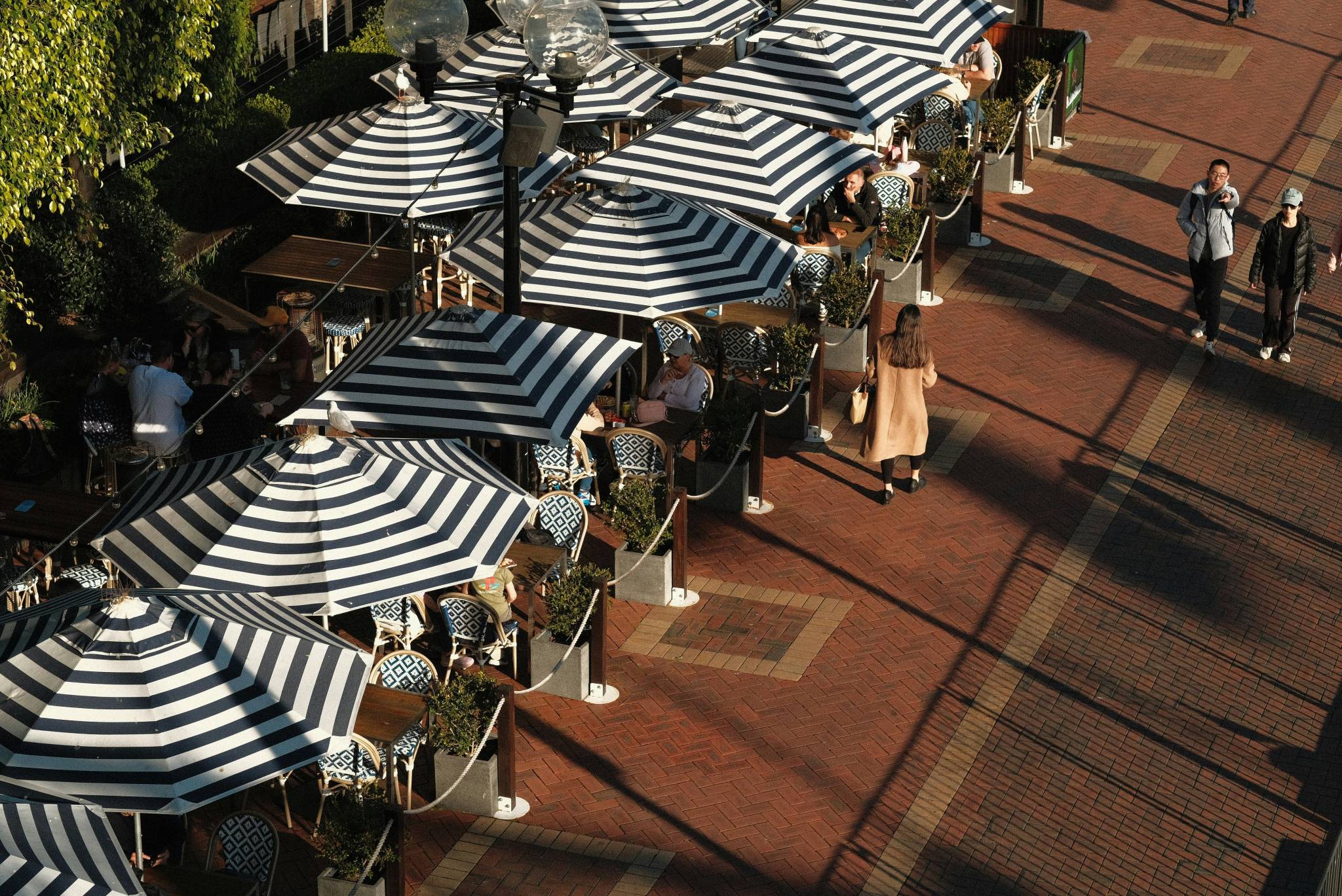 Overhead view of a lively outdoor café with black-and-white striped umbrellas and people enjoying their meals. The café is located along a brick walkway, creating a vibrant social spot, perfect for discovering the best backpacker bars in Sydney.