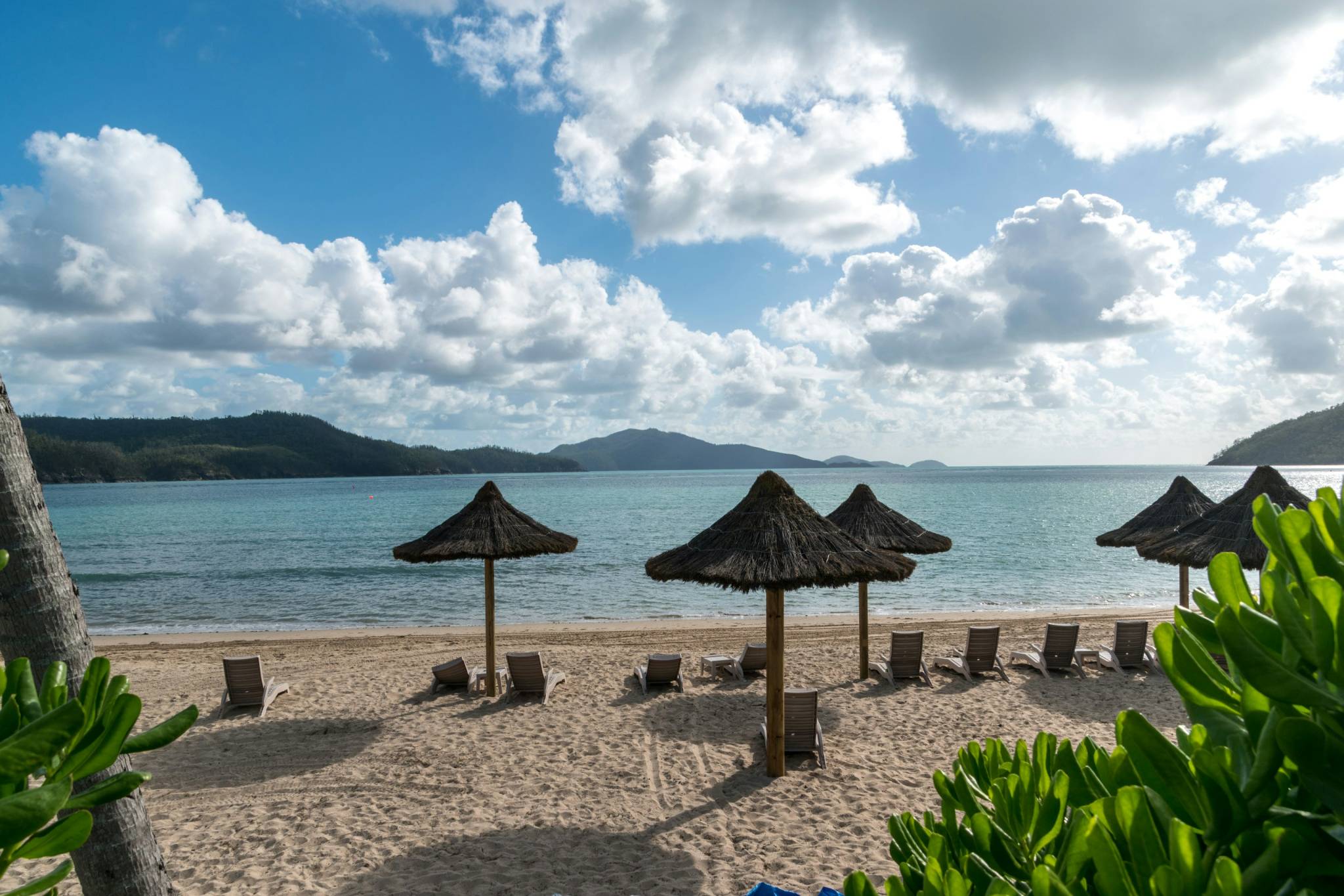 hamilton island beach