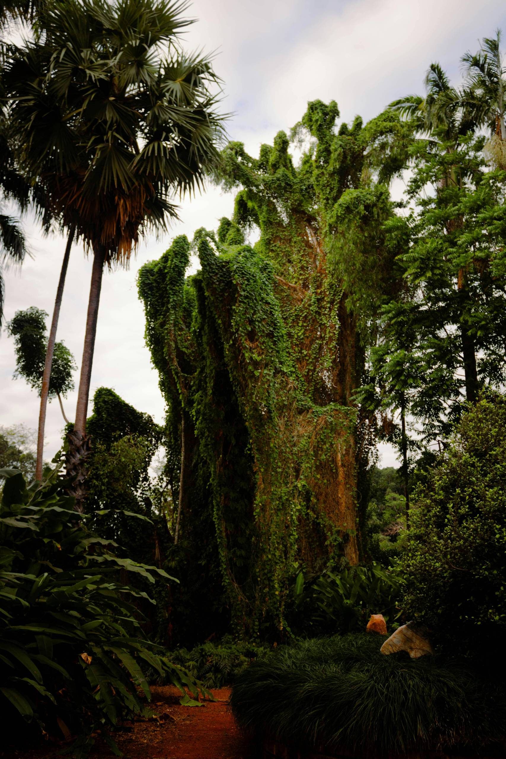 Northern Territory Travel Guide