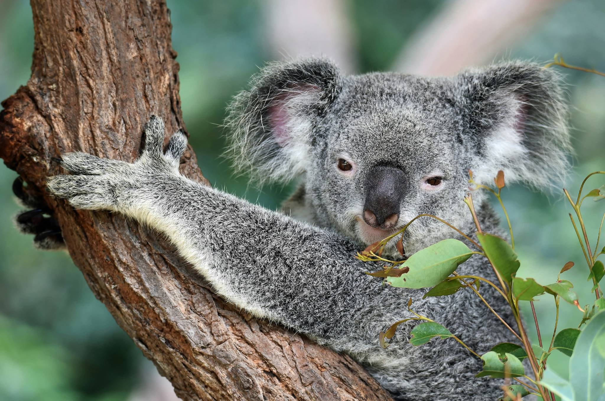 Best time to visit Australia in the Australia Travel Guide