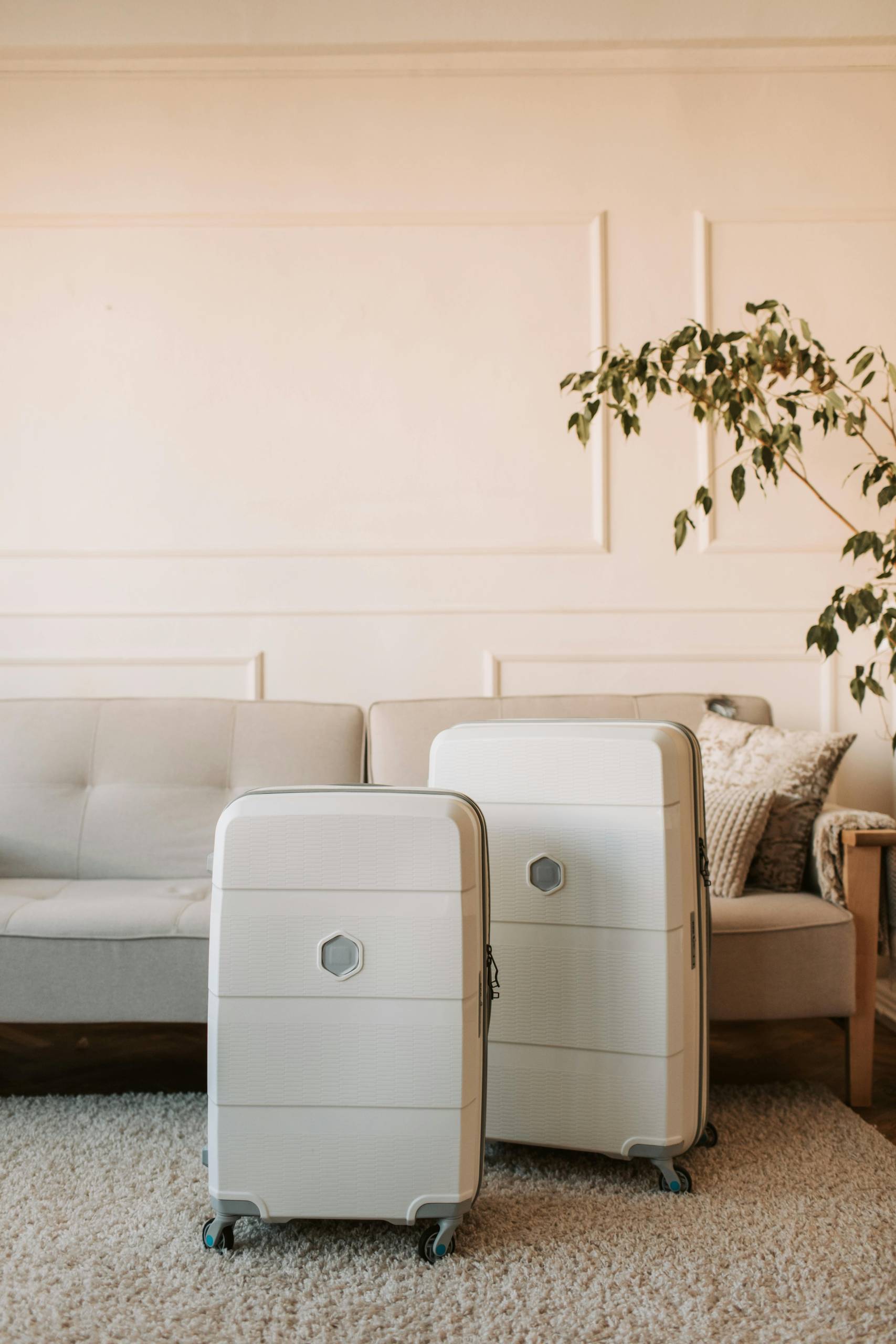 Companies like Send my Bag and My Baggage help with relocation