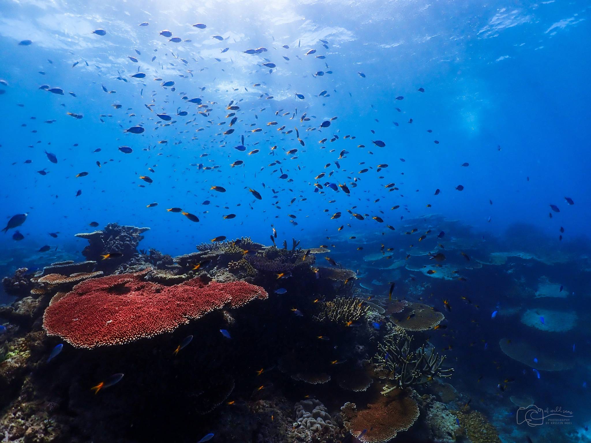 Drive along the Great Barrier Reef
