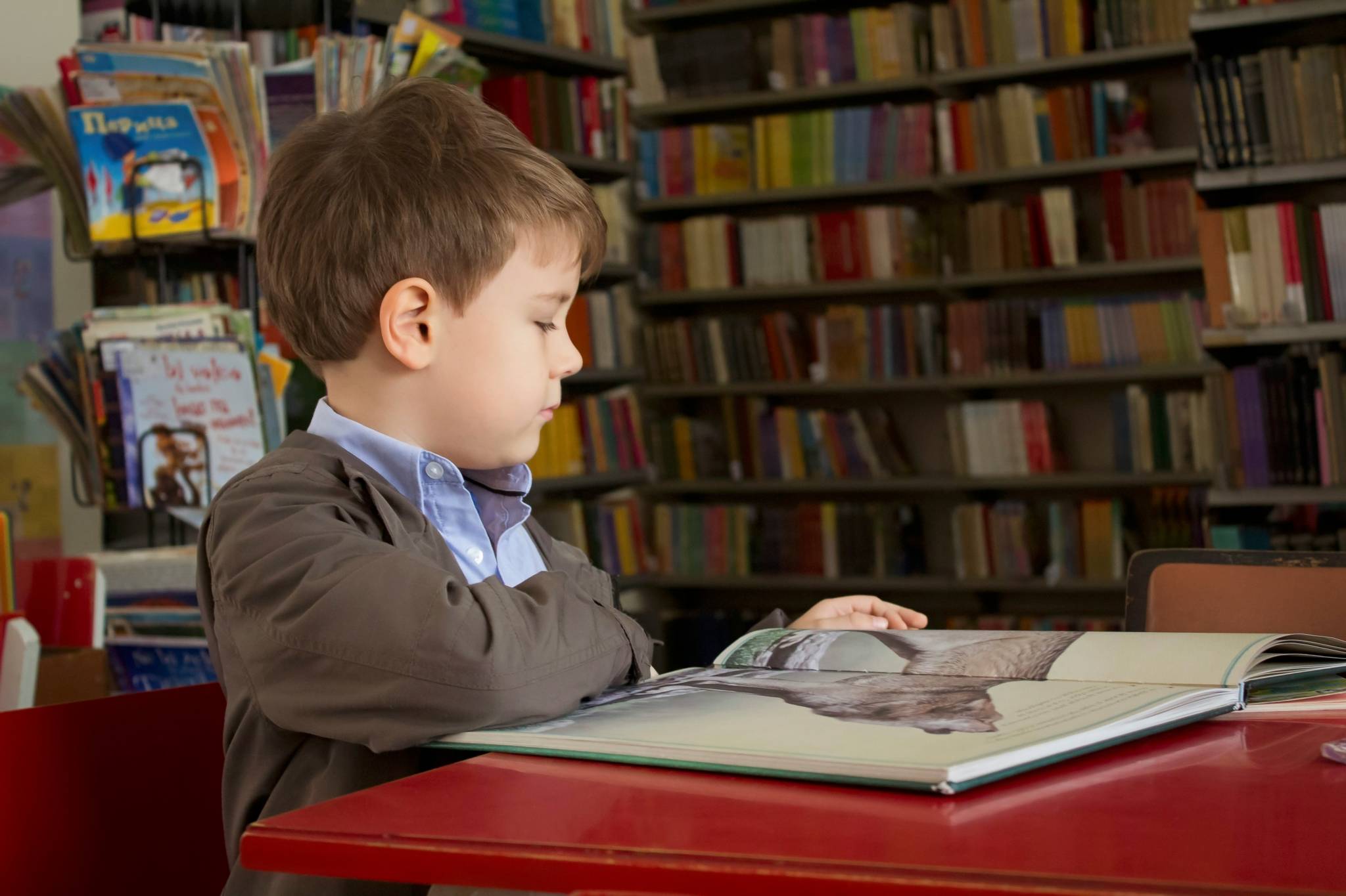 A young boy reading a large book in a library, deeply focused on the pages. The book appears to have images of animals, and he is surrounded by shelves filled with colorful books, suggesting a learning or educational environment.