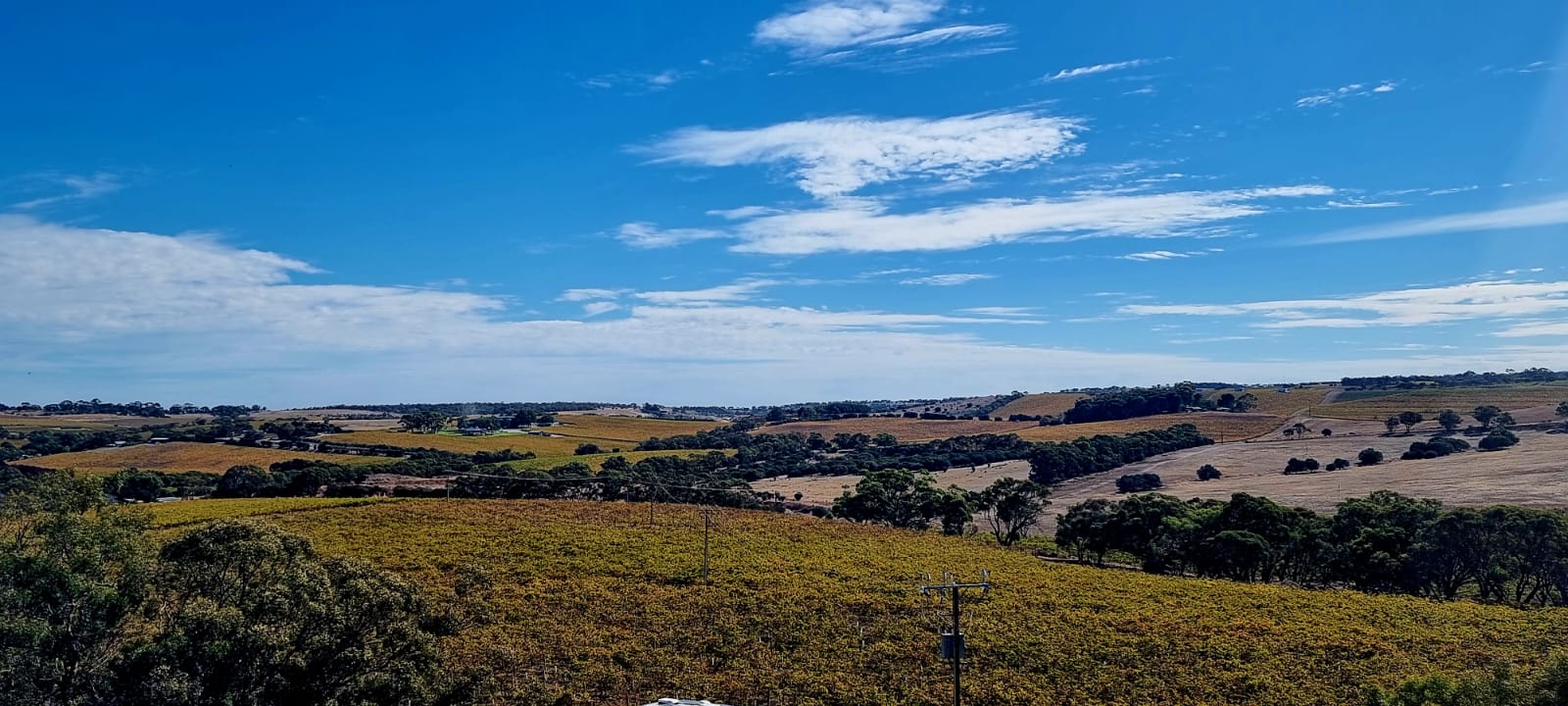 Barossa wine country