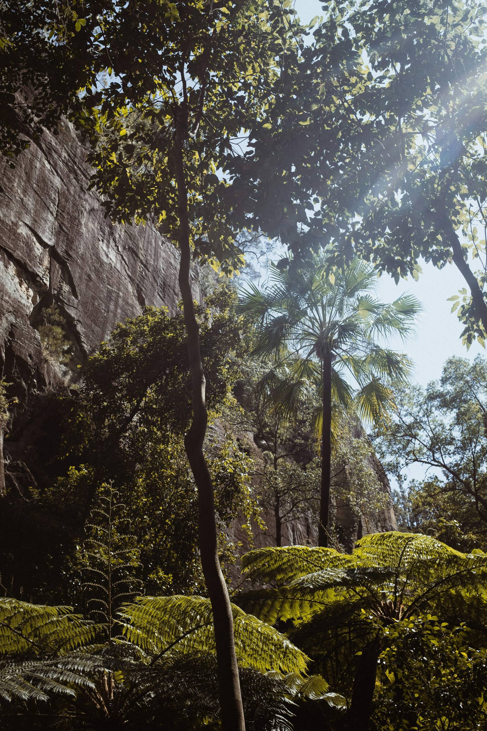 Carnarvon National Park, Australia