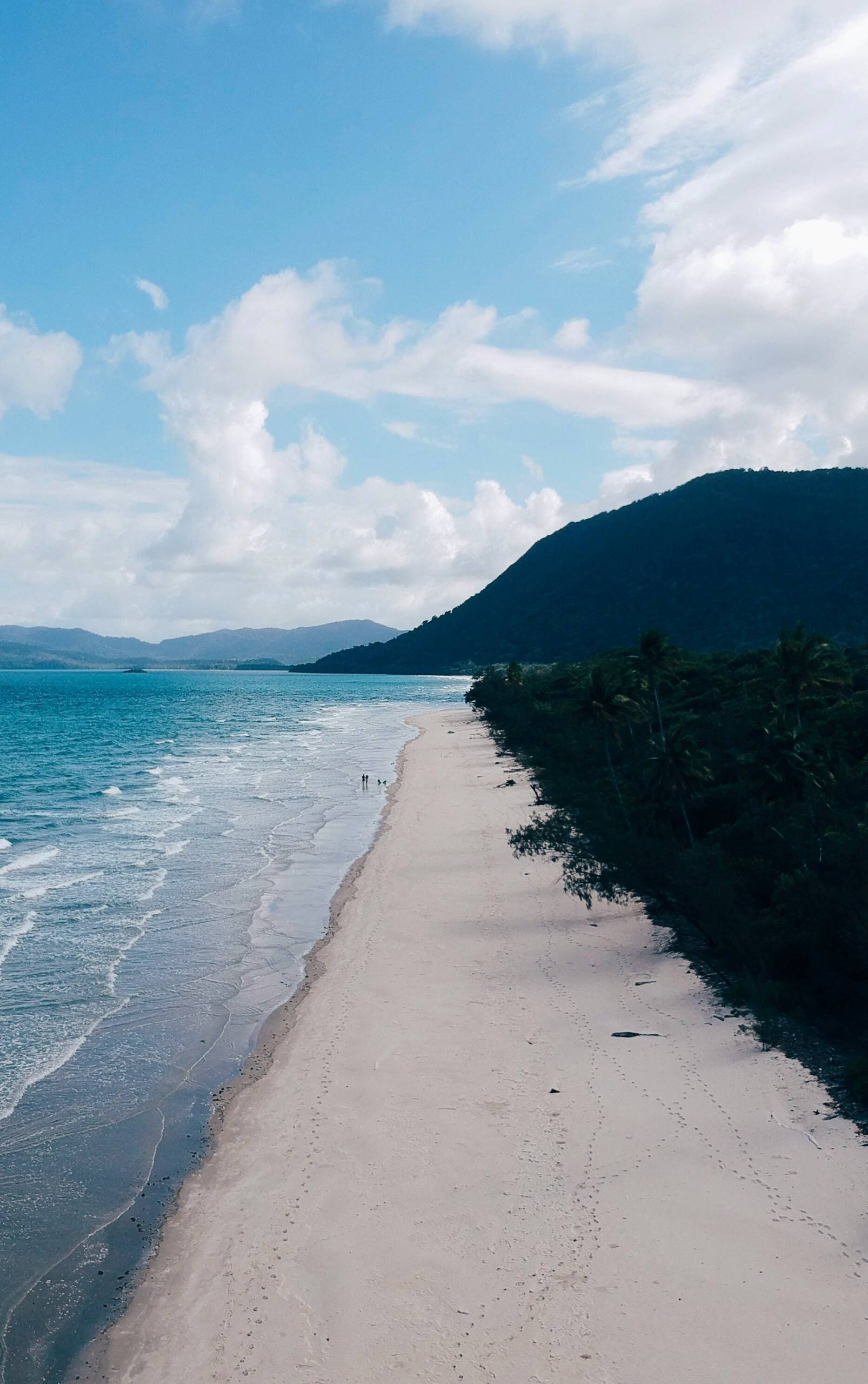 Where the daintree rainforest meets the sea.