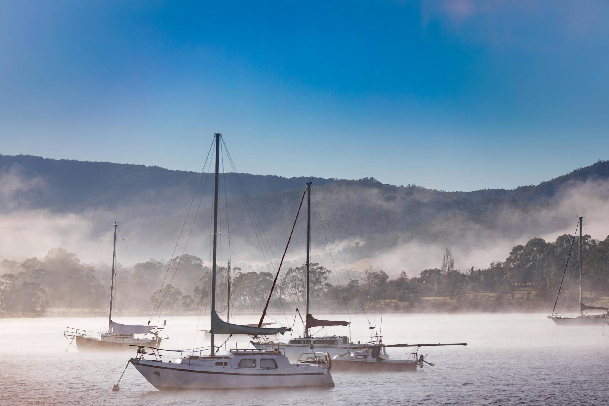Spring is a beautiful time to visit Tasmania