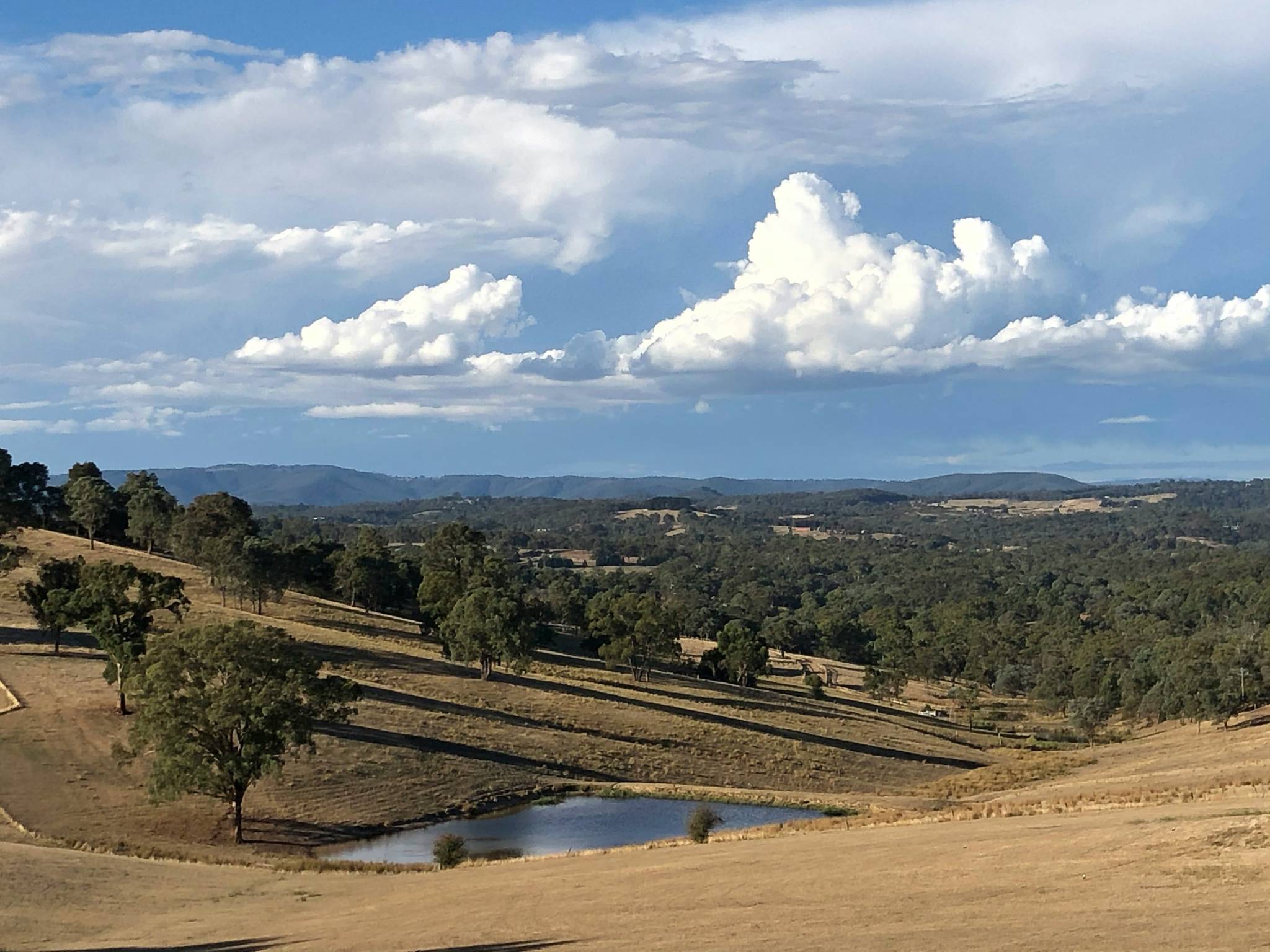 yarra valley in victoria
