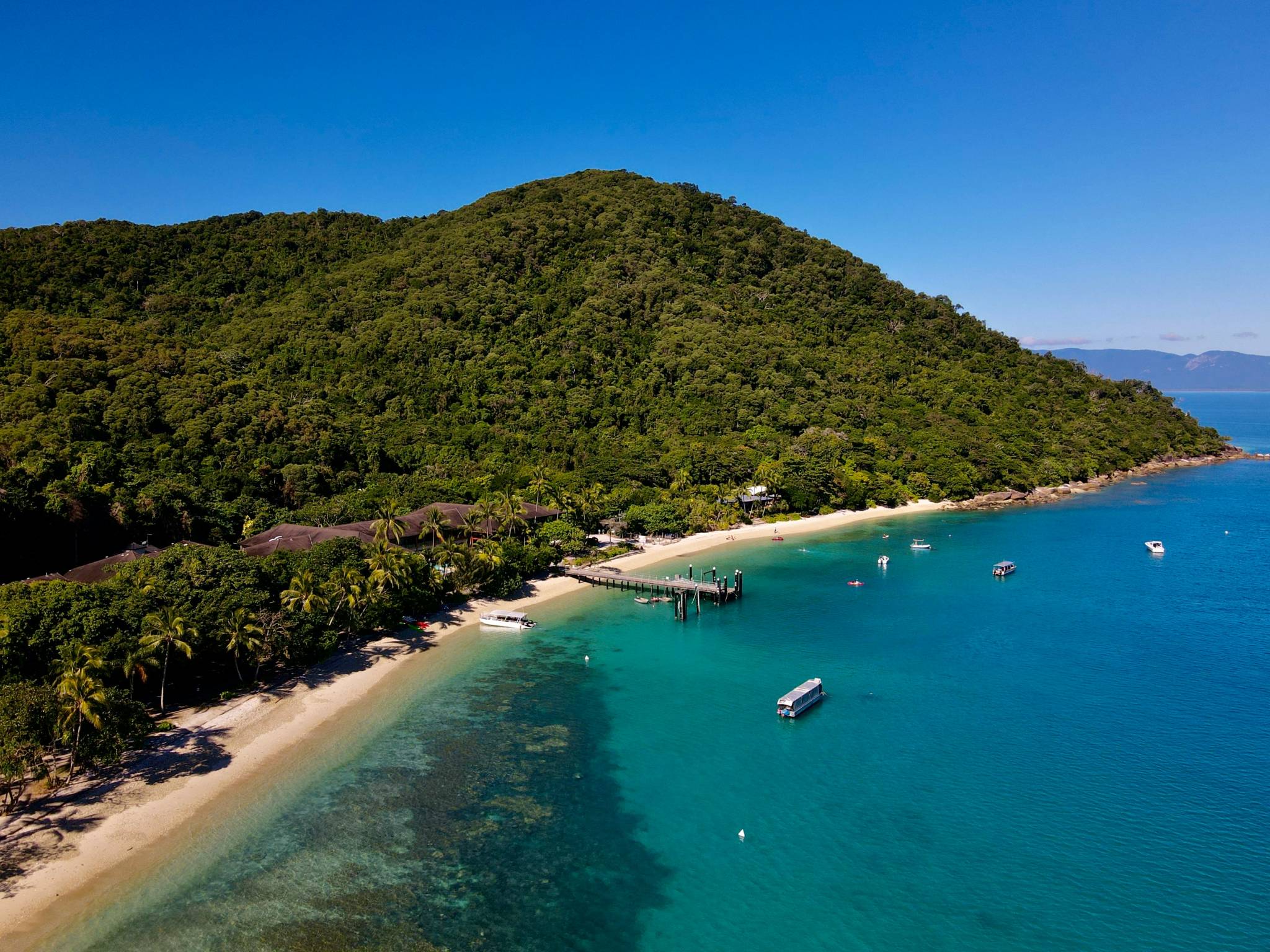 Aerial shot of a cairns beach with he rainforest in the background.