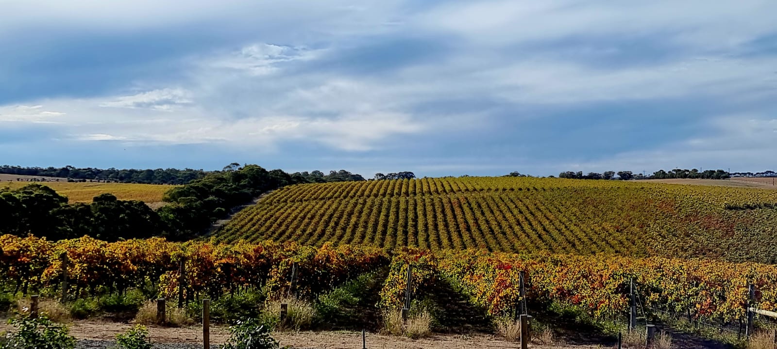 Barossa Valley, South Australia