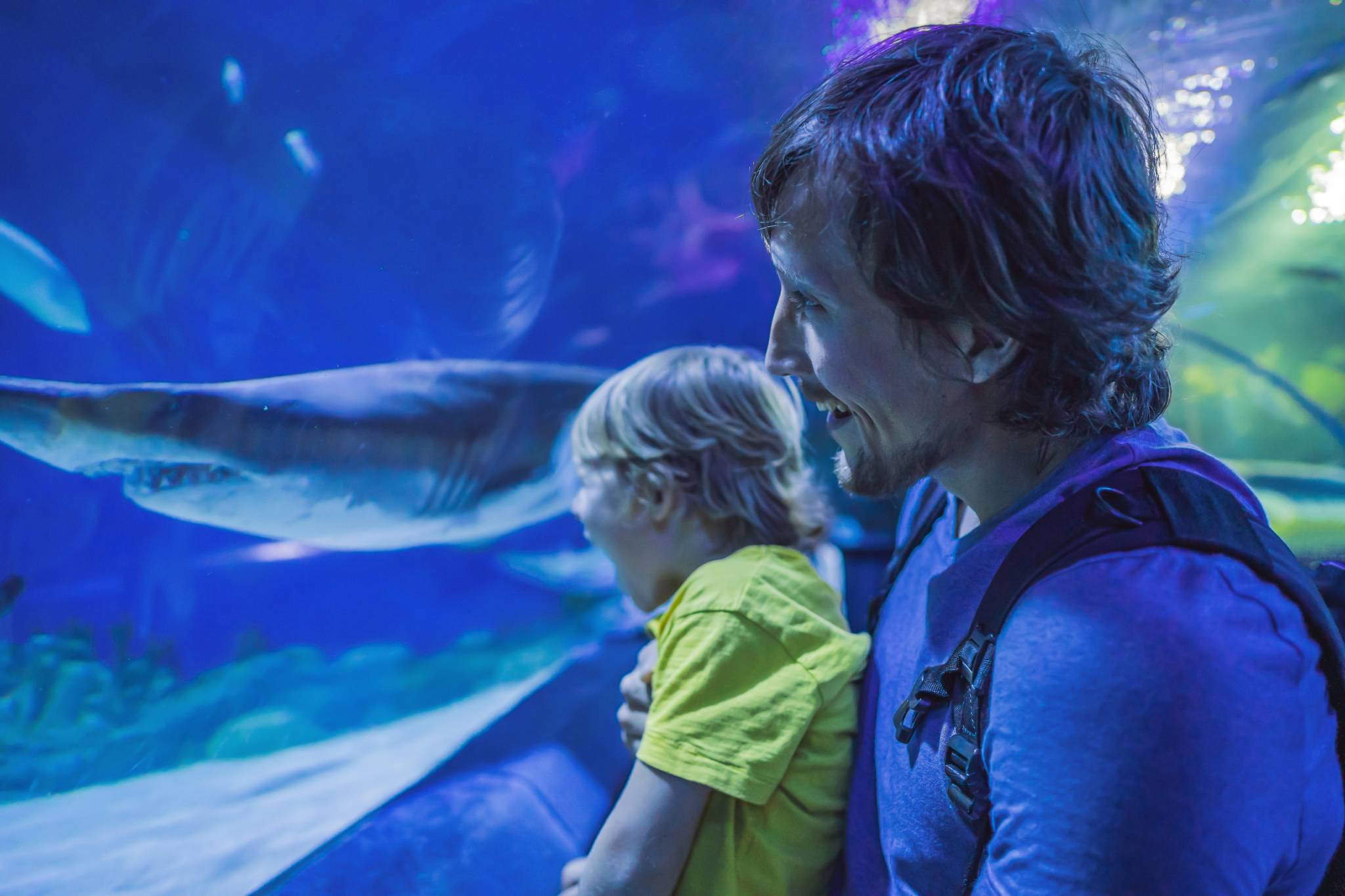 Father and son in the aquarium.