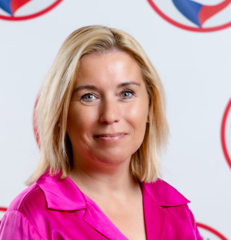 Danuše Nerudová, VŠ profesorka