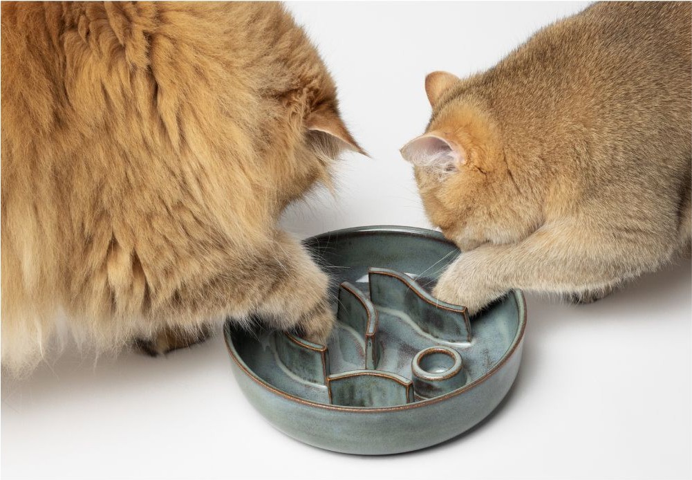 Slowfeeder Caramel
