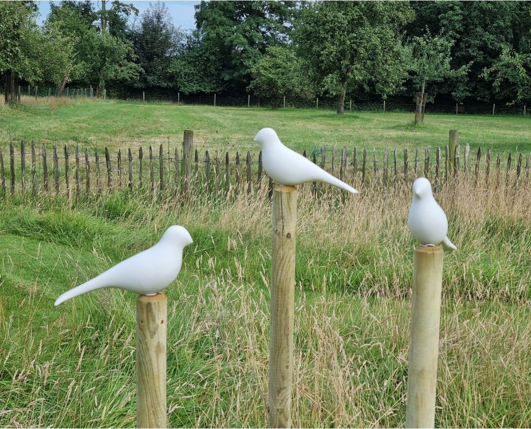 BirdZ Trio, miniatuur 4