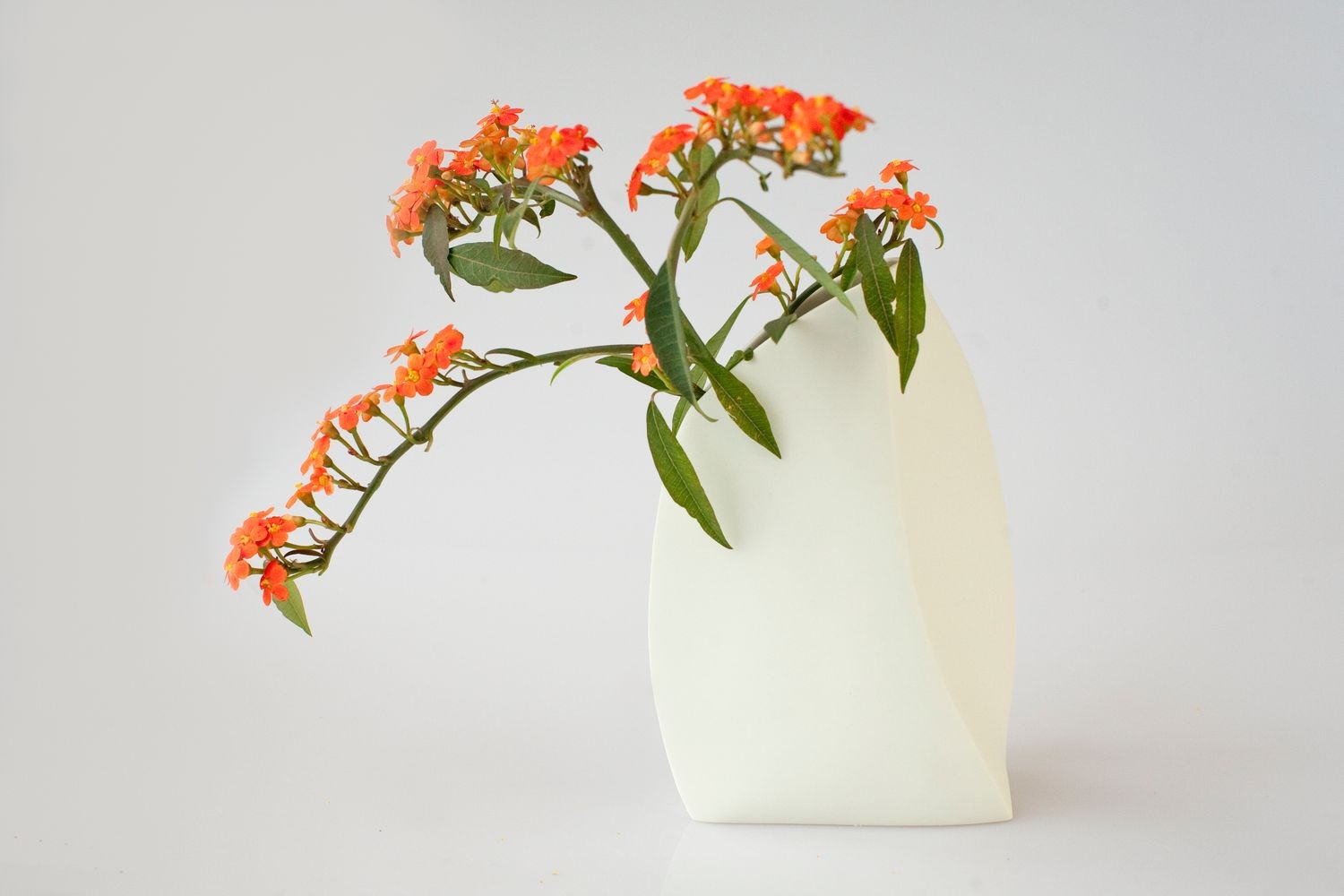 Barnacle Vase - Large