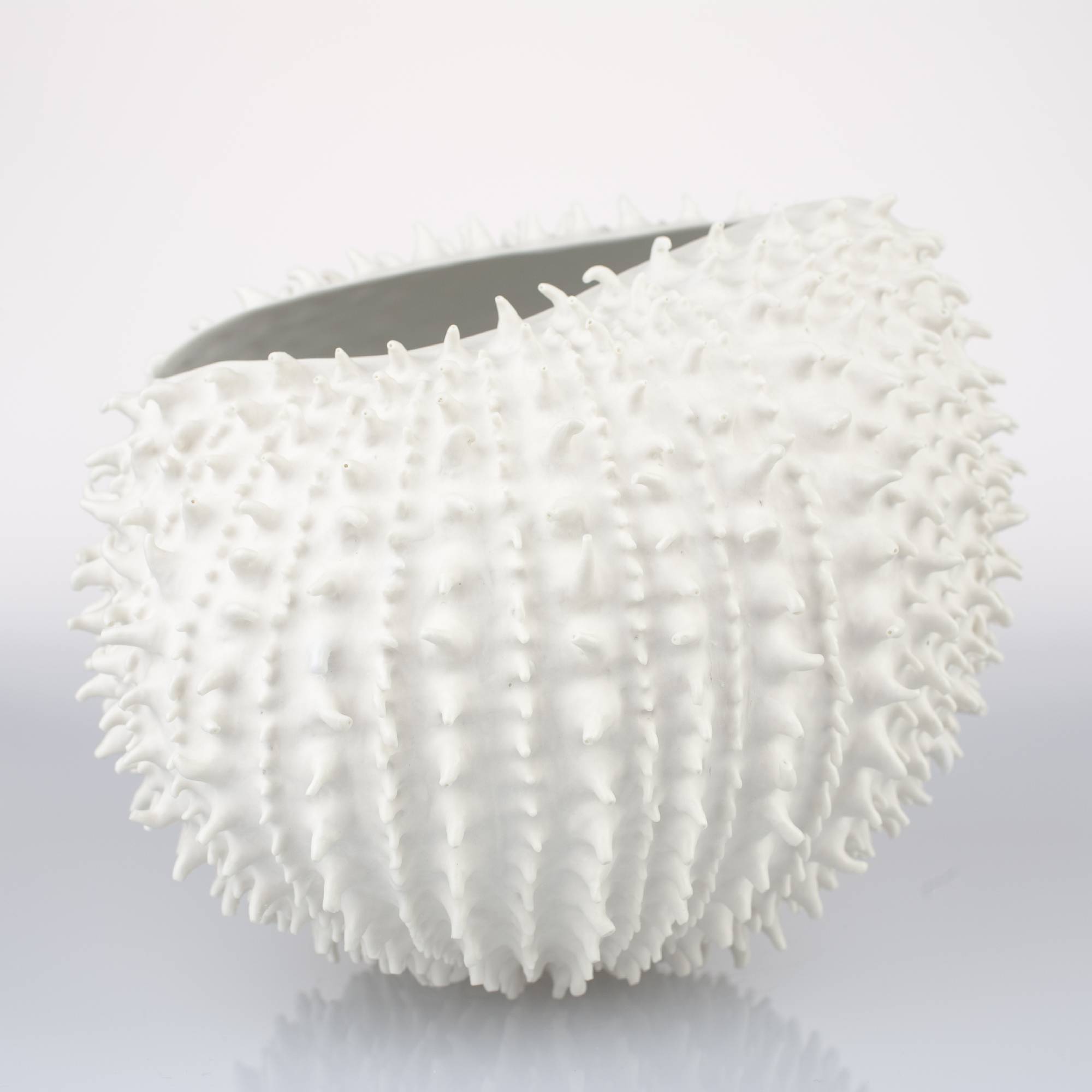 Urchin