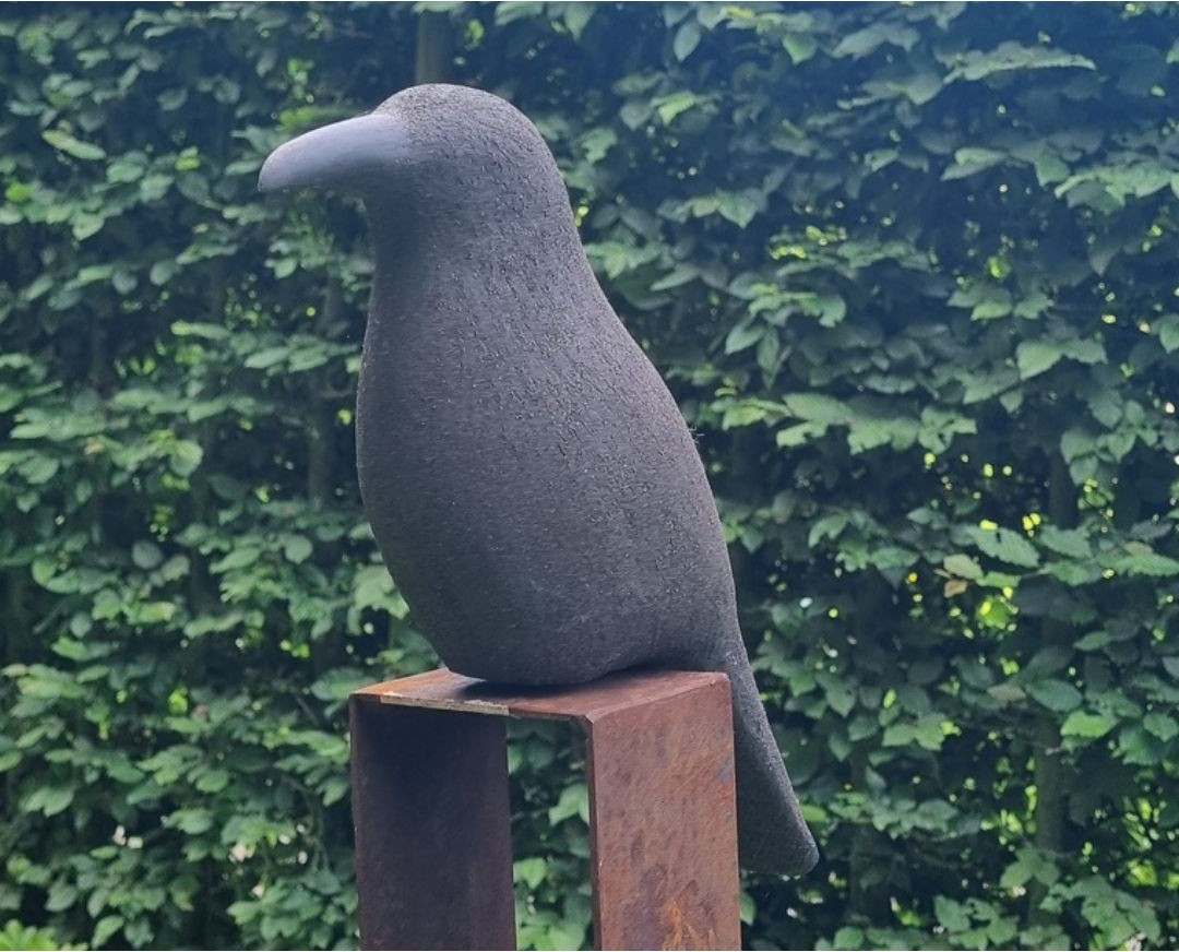 Black Crow King