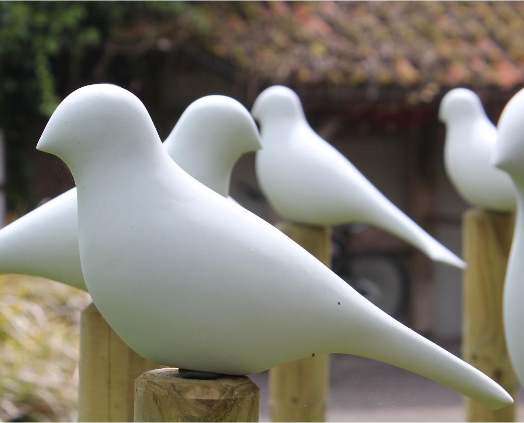 BirdZ Trio, miniatuur 3