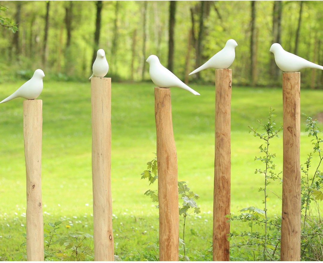 BirdZ Quintet