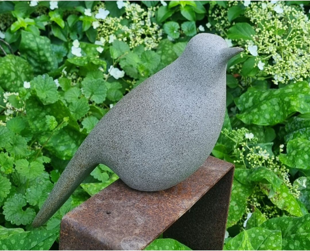 Robin, miniatuur 2