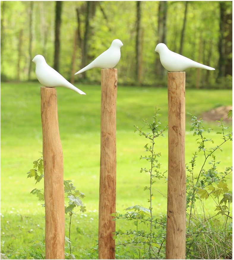 BirdZ Trio