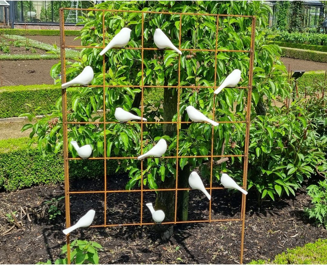 BirdieZ
