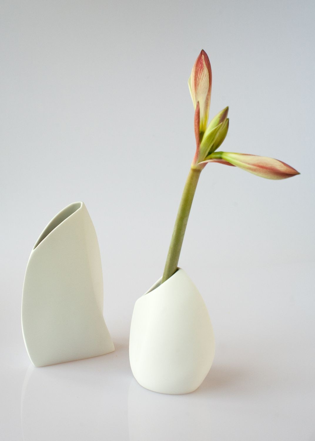 Barnacle Vase - Small, miniatuur 3