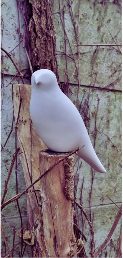 FalCo