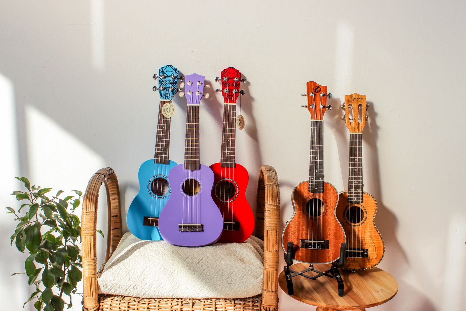 Barevná ukulele odpočívající na proutěném křesle