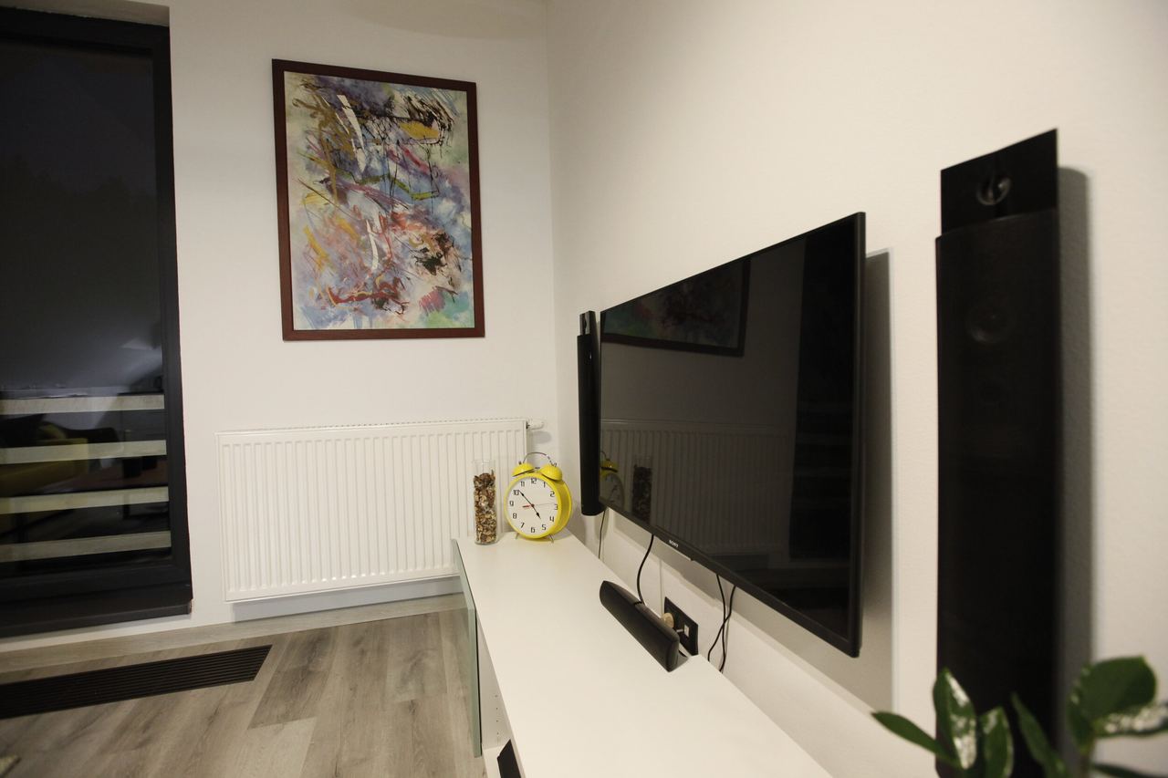 Televize s reproduktory