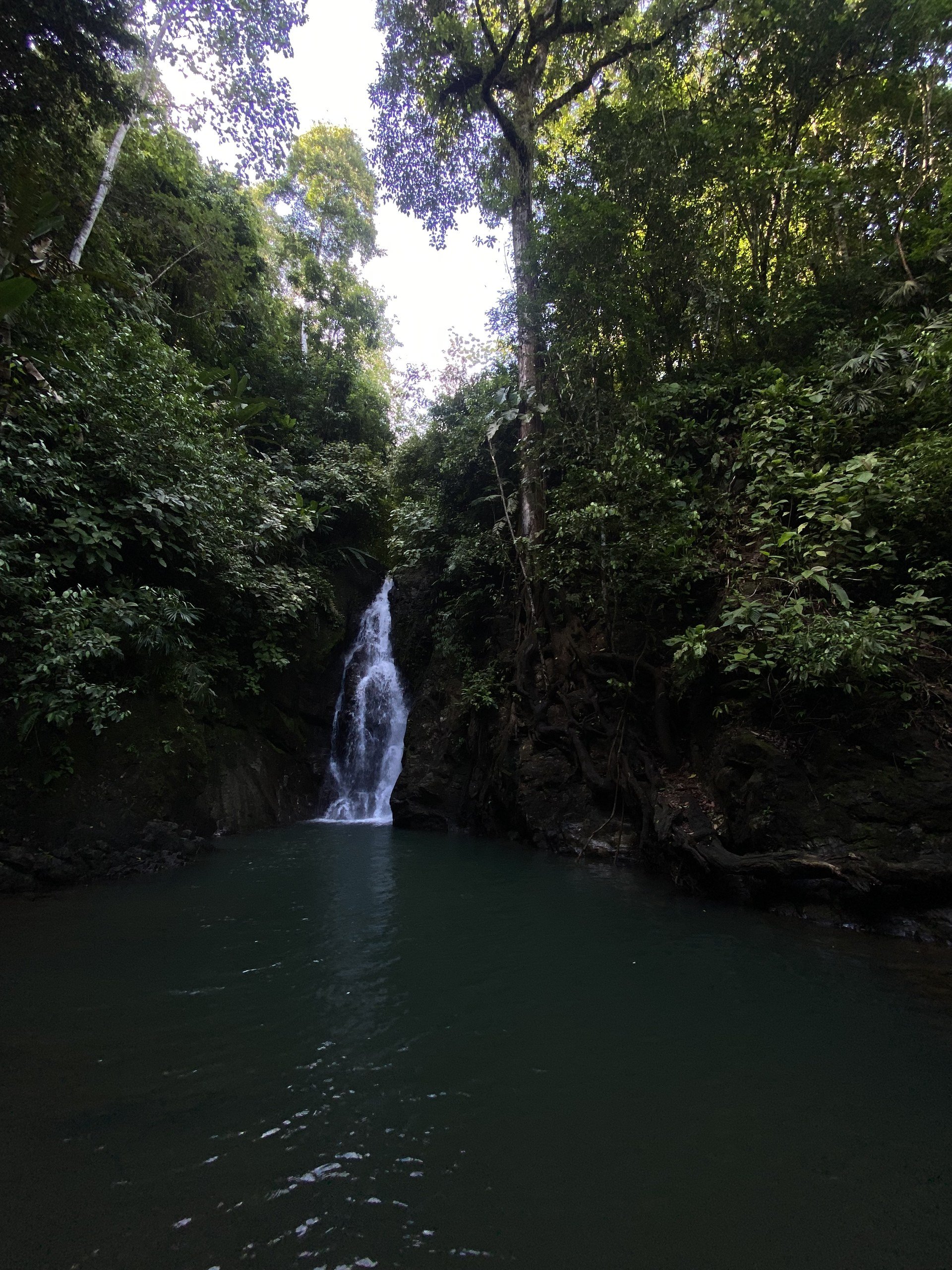 Cascade en pleine jungle sur la péninsule d’Osa