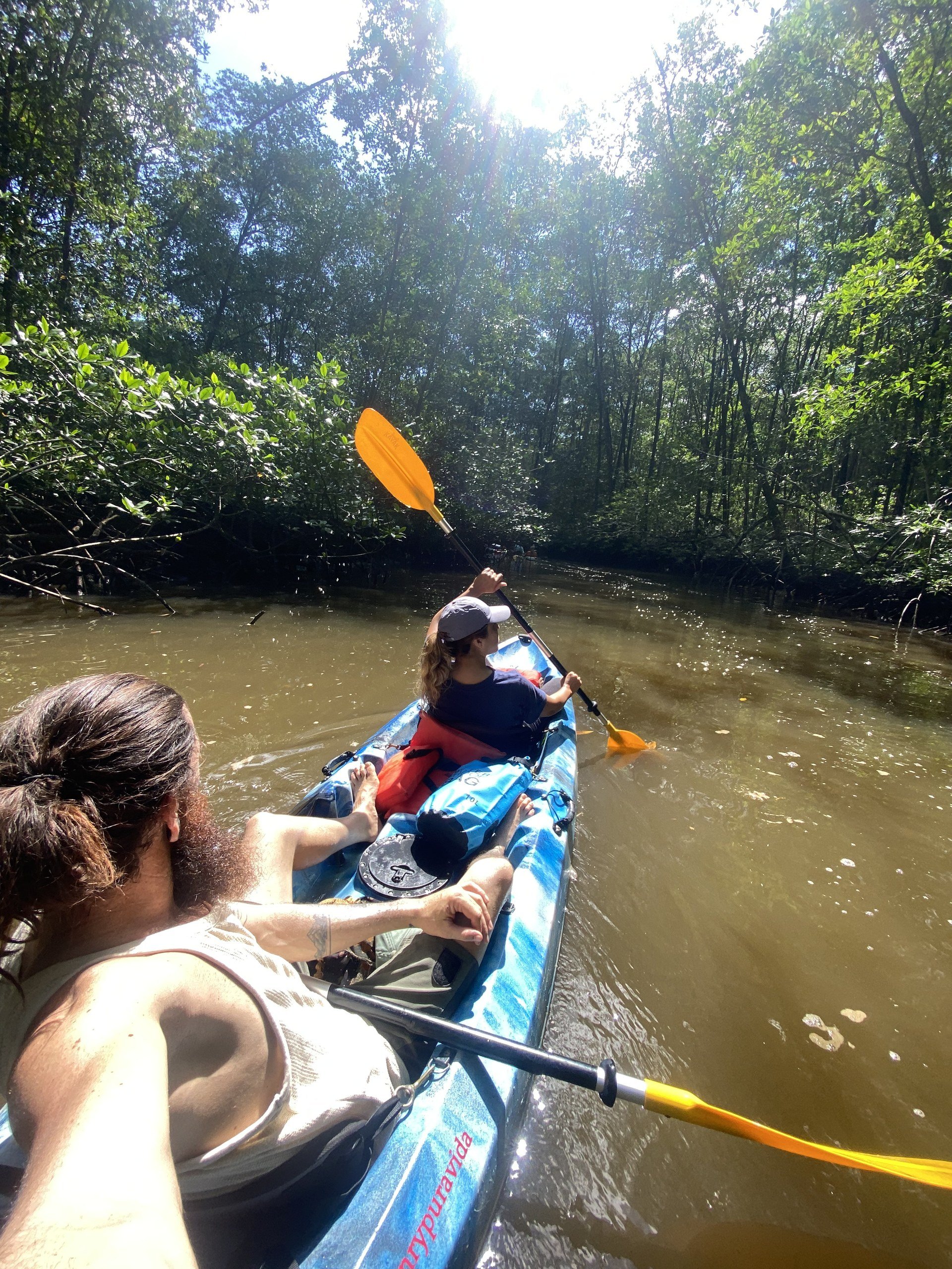 Kayaking the Coronado mangroves near Ojochal