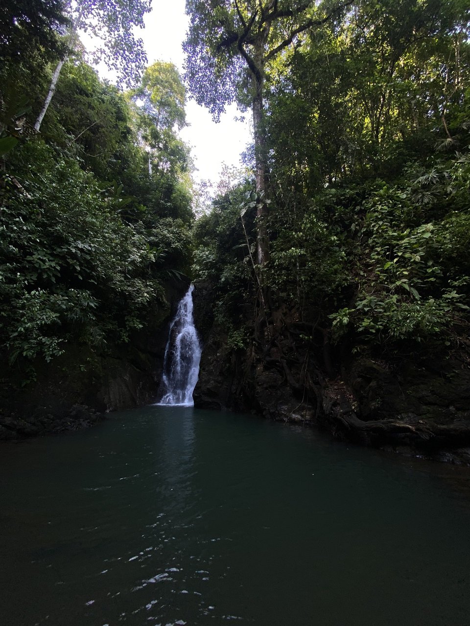 Cascade en pleine jungle sur la péninsule d’Osa