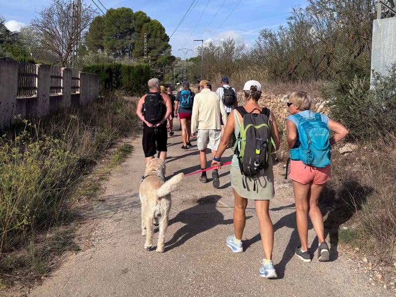 Sfeerimpressie wandelweek 5