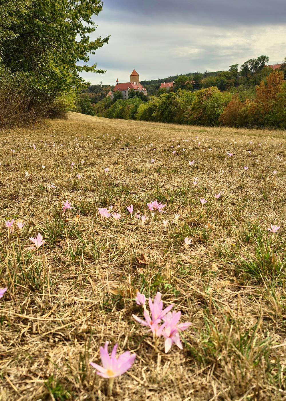 Brno Reservoir & Veveří Castle — photo 9