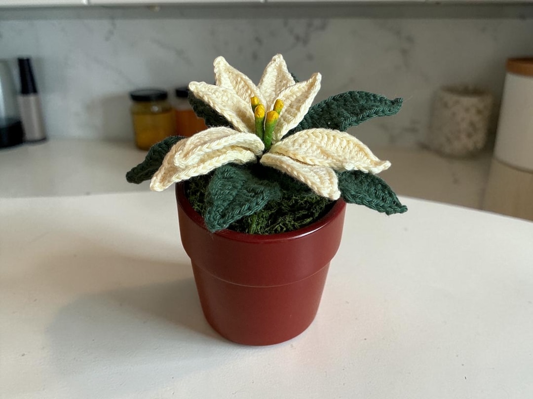 The Christmas Flower That Never Needs Watering — My Crochet Poinsettias