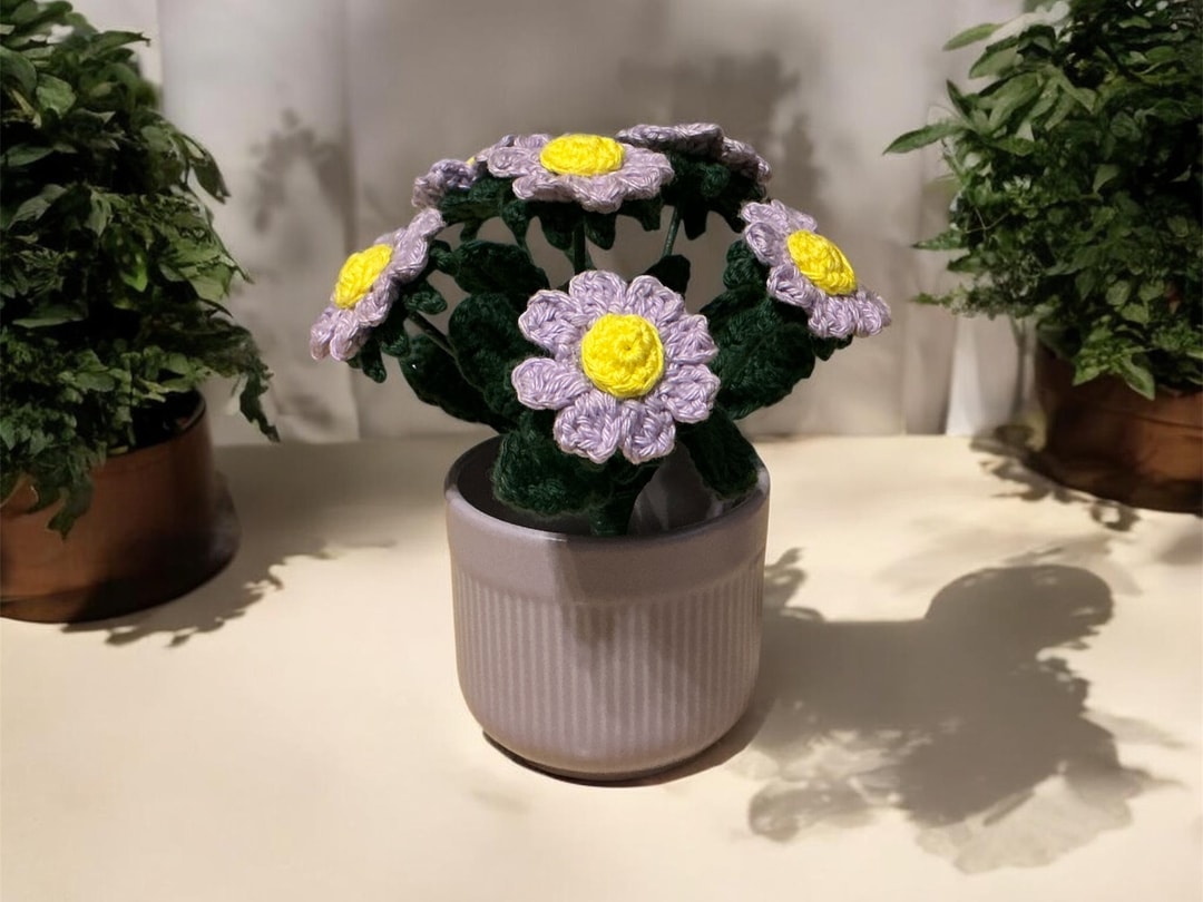 A Pot of Primroses That Will Never Sulk