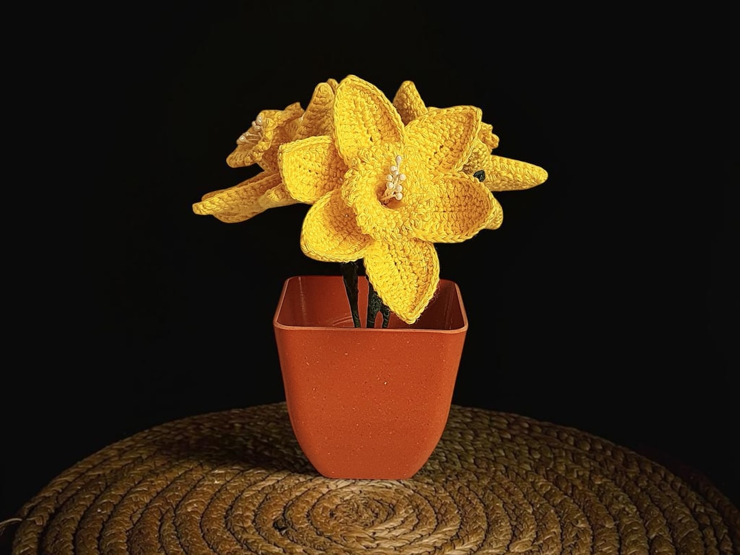 It's Never Too Late for Daffodils