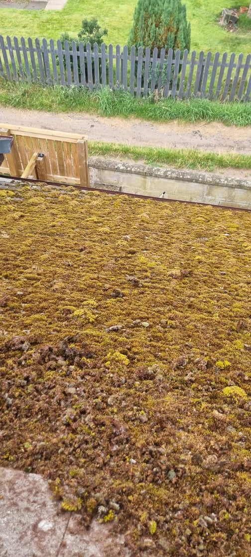 Roof in Balgowan, Perthshire before professional moss removal and cleaning by Dalguise Coatings