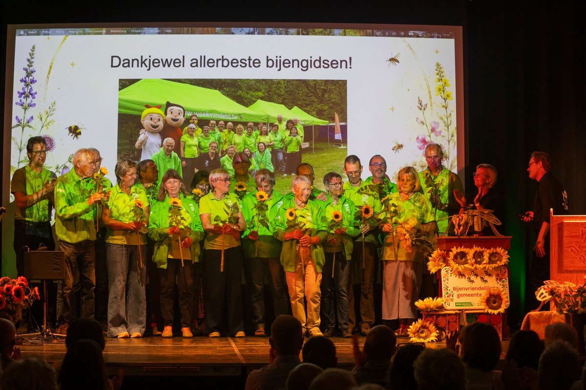 Robrecht Debaillie die de gouden bijen restaureert en een gouden kleurtje geeft